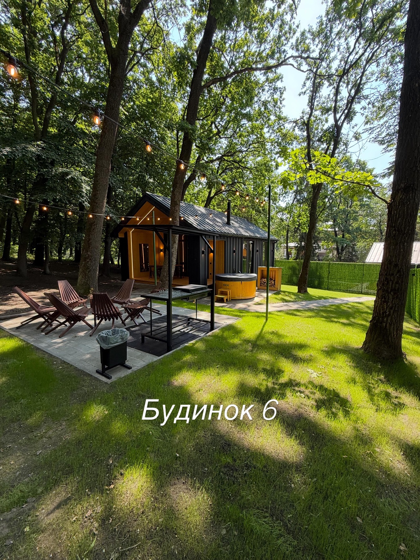 Будинок 6 серед літнього лісу