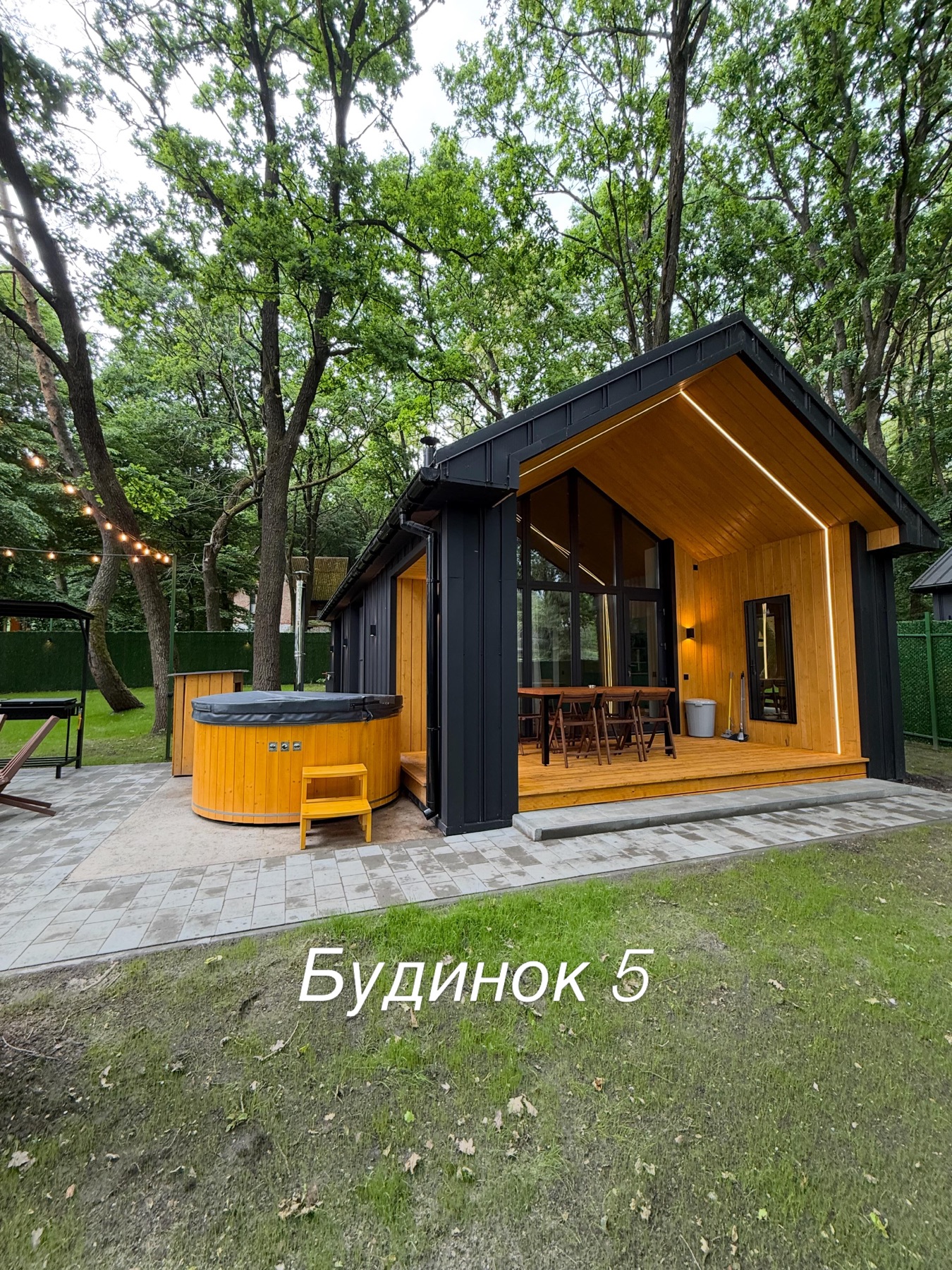Будинок 5 із власним чаном