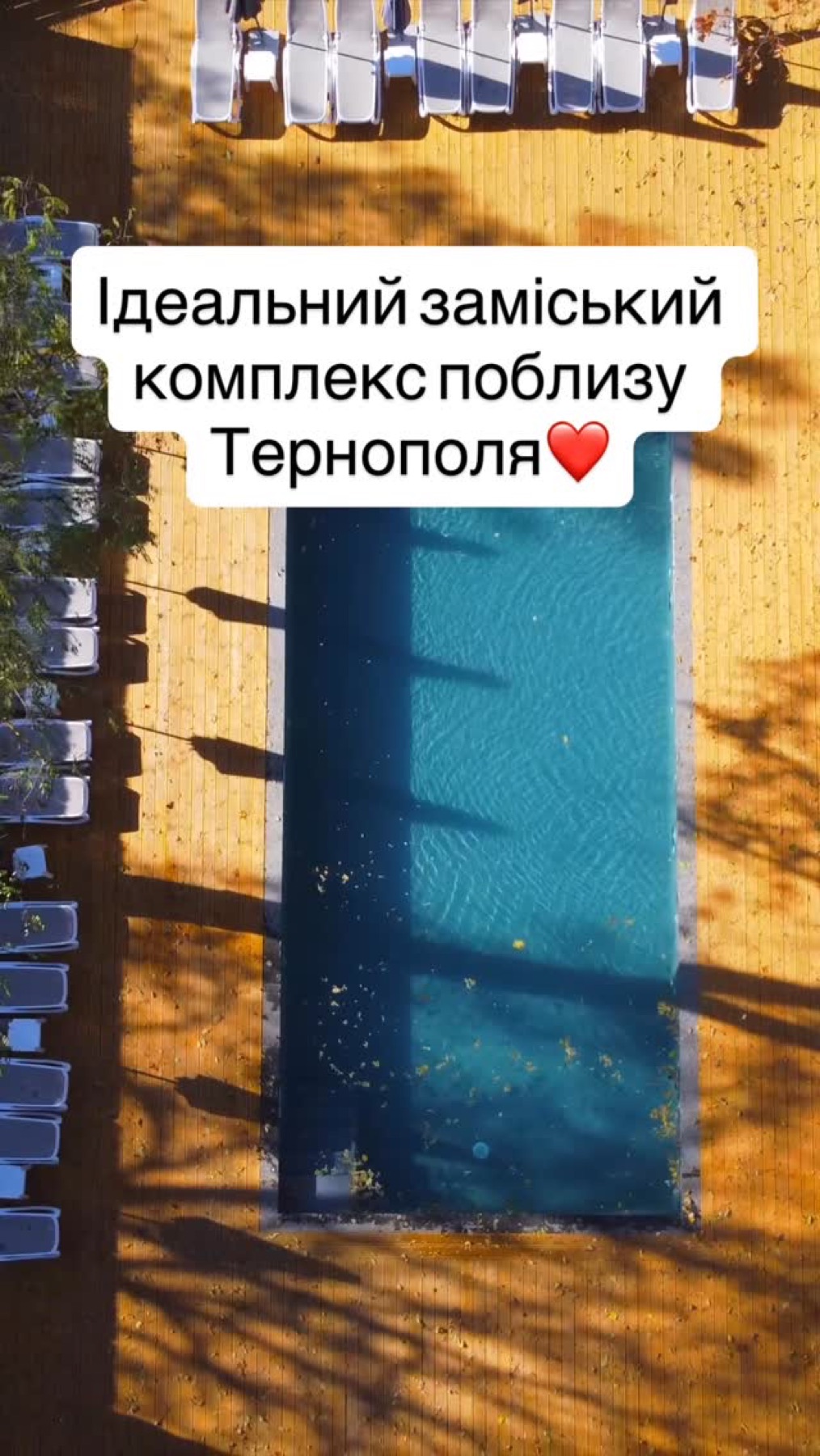 Басейн серед лісу